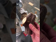 گیاهان دارویی برش خورده